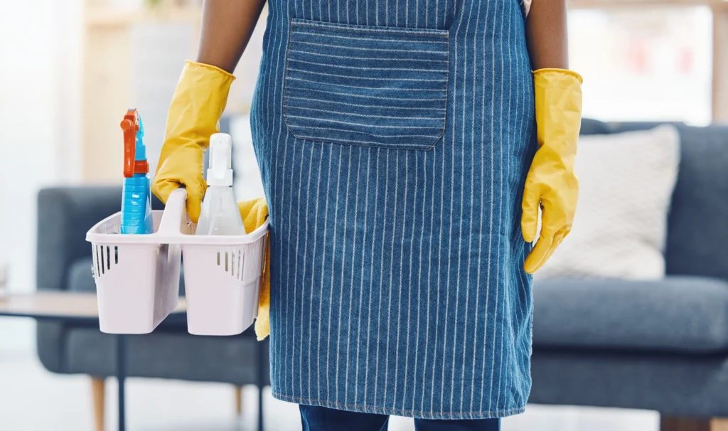 Professional Cleaning and Property Care